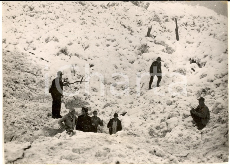 1954 ALPI SVIZZERA Soccorritori cercano le vittime di una valanga *Foto 18x13