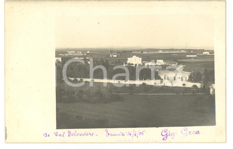 1906 TUNISI Scorcio panoramico dal Belvedere *Fotocartolina