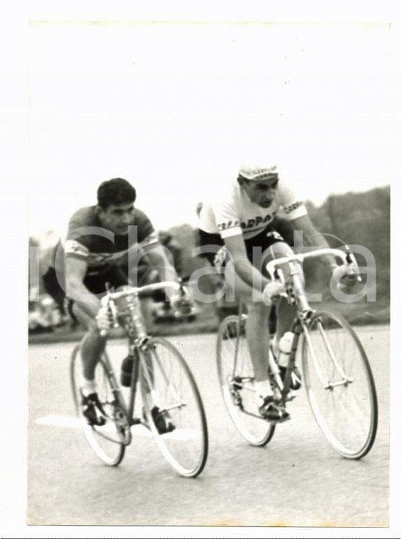 1956 TROFEO BARACCHI Fausto COPPI e Riccardo FILIPPI duranta la gara *Foto 13x18