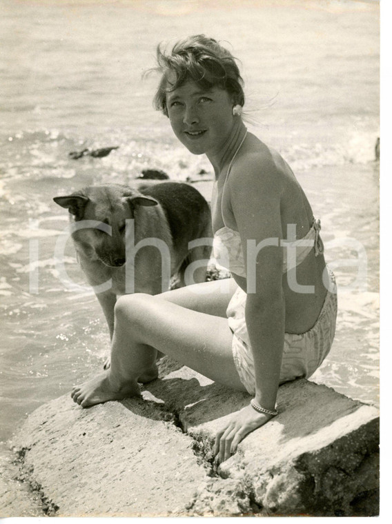 1956 BRIGHTON Wanda VENTHAM sunbathing in a swimsuit *Photo 15x20 cm