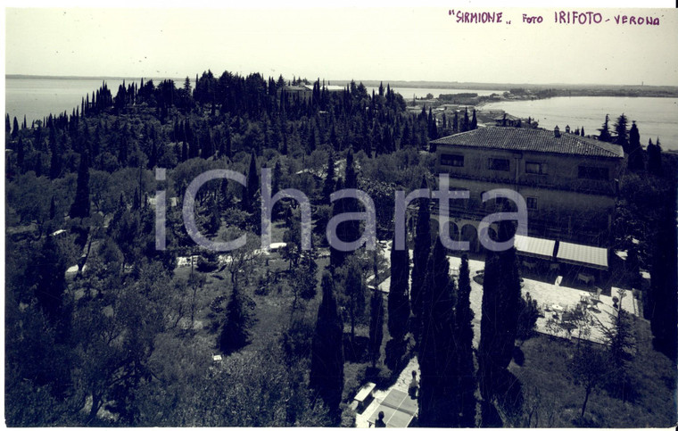 1960 ca SIRMIONE (BS) Veduta panoramica con il lago - Foto ARTISTICA 23x15 cm