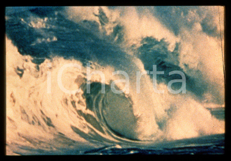 35mm vintage slide*1991 ANIMA MUNDI - Scena dal documentario di Godfrey REGGIO 2