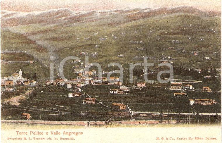 1907 TORRE PELLICE (TO) Panorama con VALLE ANGROGNA *Cartolina FP NV