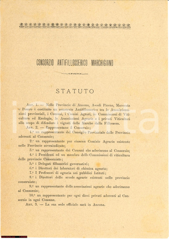 1892 Consorzio Antifilosserico Marchigiano STATUTO
