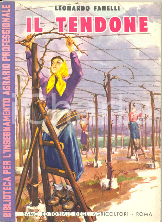 1965 Leonardo FANELLI Il tendone manuale per insegnamento agrario professionale