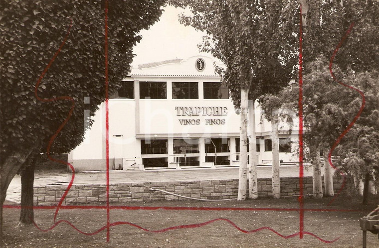 1983 BUENOS AIRES Exposición Rural ARGENTINA Padiglione vini TRAPICHE *Foto