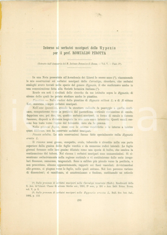 1894 Romualdo PIRROTTA Intorno ai serbatoi mucipari delle HYPOXIS *DANNEGGIATO