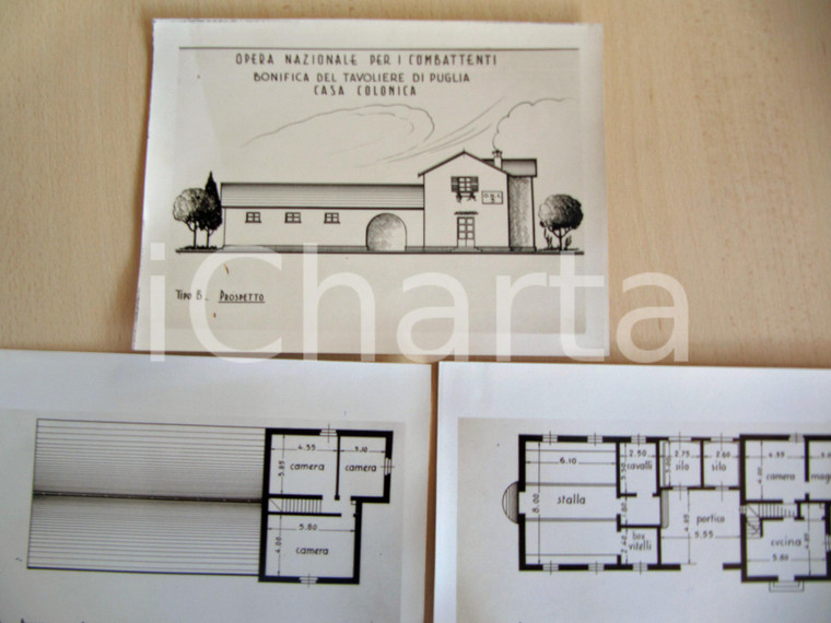 1939 FOGGIA Progetto di casa colonica BONIFICA DEL TAVOLIERE