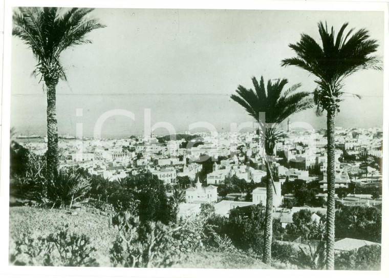 1935 ca SANTA CRUZ DE TENERIFE (CANARIE) Panorama dell'isola *VERA FOTOGRAFIA