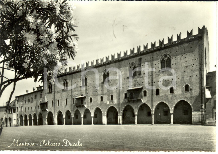 1961 MANTOVA Palazzo Ducale *Cartolina FG VG