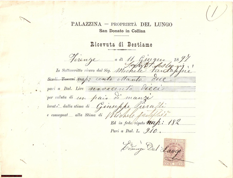 1897 SAN DONATO IN COLLINA (FI) Vendita di due manzi