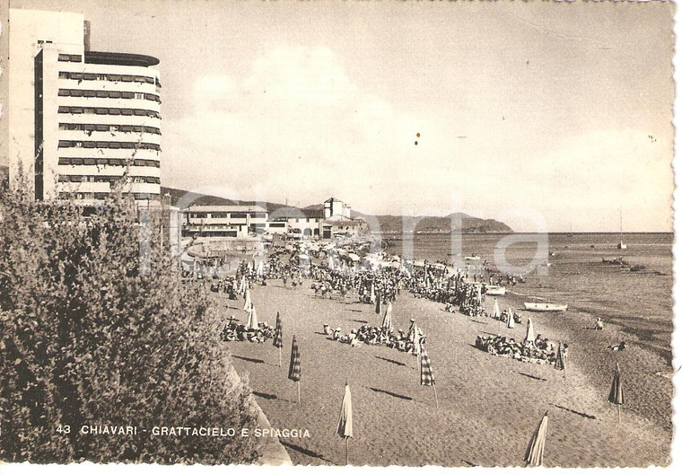1950 CHIAVARI (GE) Veduta della spiaggia e del GRATTACIELO *Cartolina FG VG