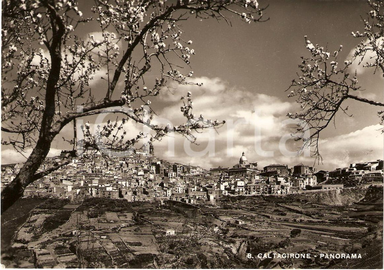 1952 CALTAGIRONE (CT) Scorcio panoramico tra i ciliegi *Cartolina FG VG