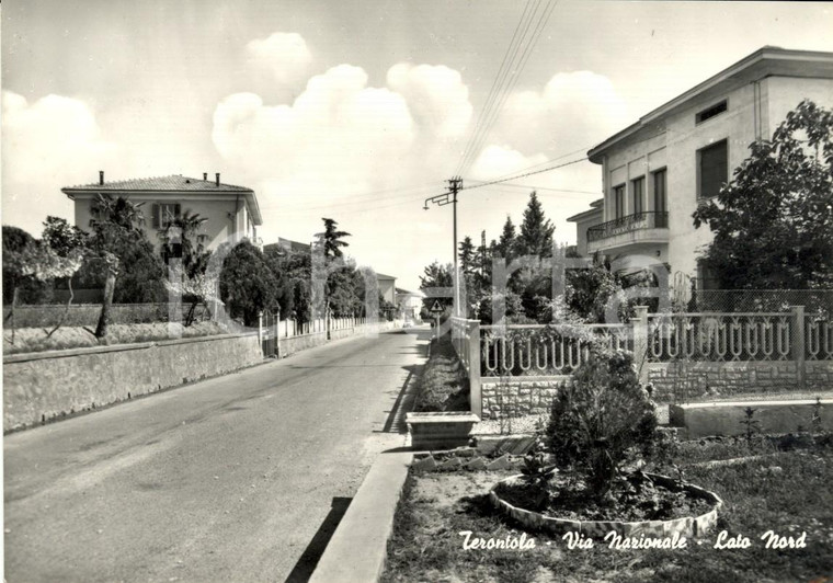 1964 CORTONA (AR) Via NAZIONALE lato nord in frazione TERONTOLA *Cartolina FG VG