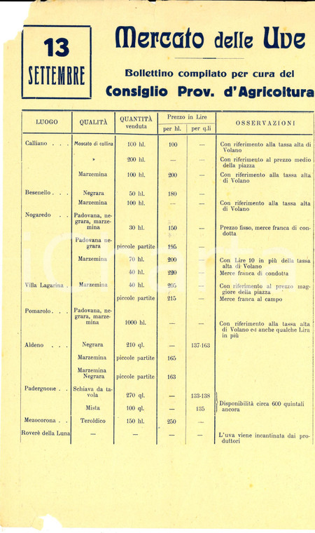 1950 ca Provincia di TRENTO - MERCATO DELLE UVE *Bollettino prezzi 13 settembre