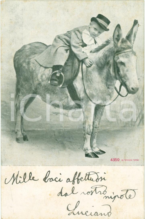 1904 VALEGGIO SUL MINCIO (VR) Un ardito cavaliere...a dorso di mulo FP VG