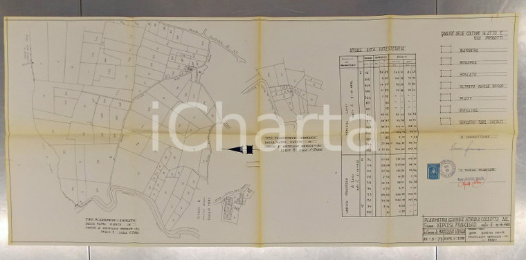 1973 MONTECALVO VERSIGGIA (PV) Planimetria azienda vinicola Francesco VERCESI