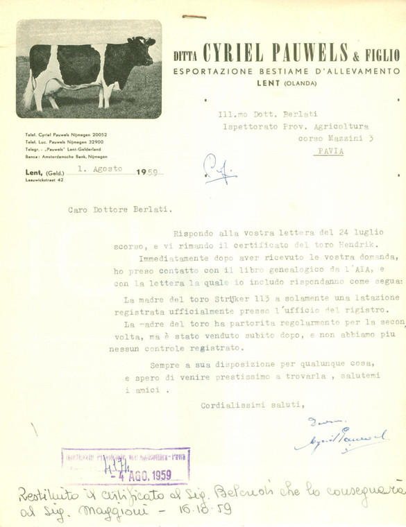1959 LENT (OLANDA) Ditta Cyriel PAUWELS & Figlio esportazione bestiame *Lettera