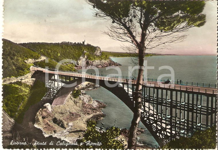 1956 LIVORNO Ponte di CALIGNAIA e ROMITO Panorama *Cartolina FG VG