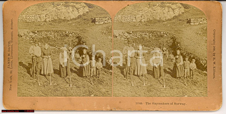 1896 NORWAY The Haymakers Photo KILBURN Stereoscopy