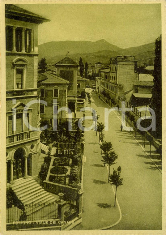 1940 ca FOLIGNO (PG) Veduta viale dei CANAPE' *Cartolina DANNEGGIATA FG NV