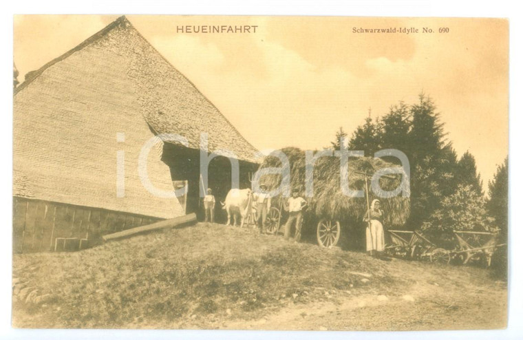 1910 ca FORESTA NERA Contadini raccolgono il fieno - Heuenfart  *Cartolina