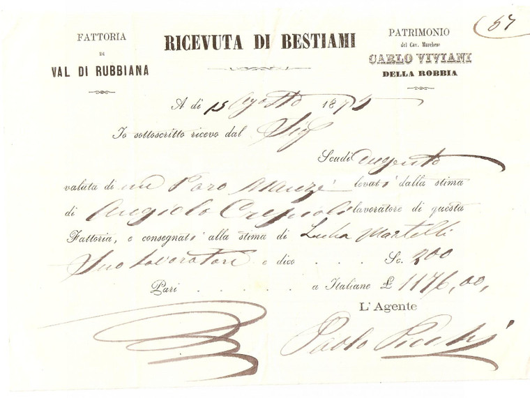 1875 VAL DI RUBBIANA (FI) Fattoria Marchese Carlo VIVIANI DELLA ROBBIA Ricevuta