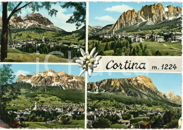 1950 CORTINA D'AMPEZZO (BL) Tofane e Gruppo Pomagagnon - Cartolina FG VG