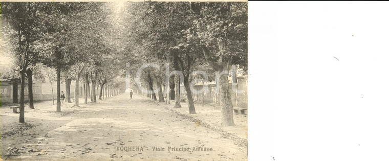 1919 VOGHERA (PV) Viale PRINCIPE AMEDEO con passanti *Cartolina postale FP VG