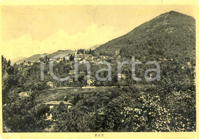 1955 ca BEE' (VB) Panorama generale e monte CIMOLO *Cartolina postale FG VG