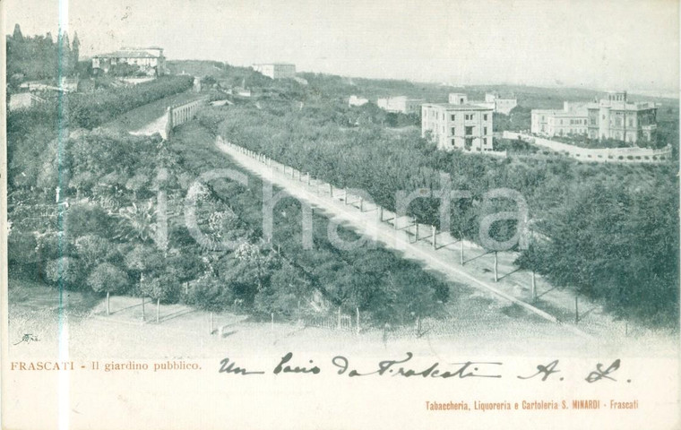 1908 FRASCATI (RM) Viale alberato lungo il giardino pubblico *cartolina FP VG