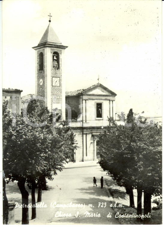 1966 PIETRACATELLA (CB) Chiesa SANTA MARIA di COSTANTINOPOLI *Cartolina FG VG