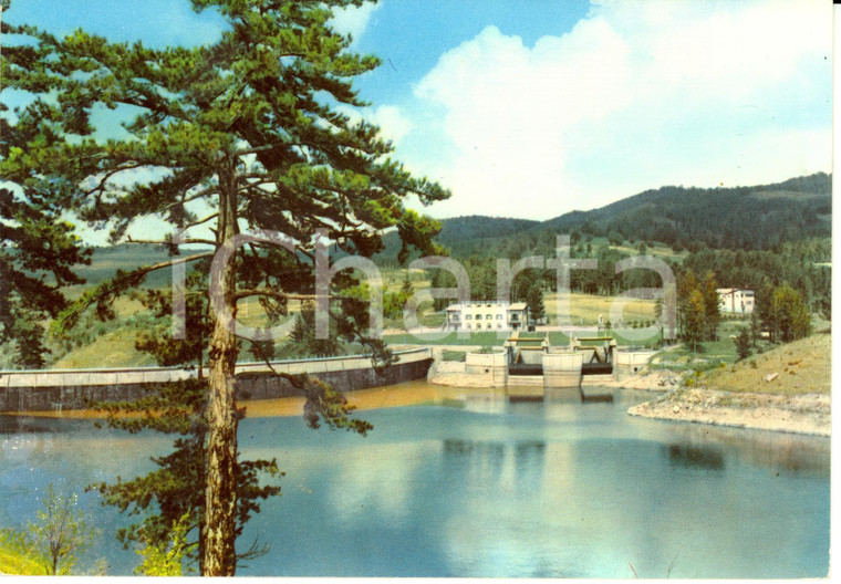 1957 SPEZZANO DELLA SILA (CS) Veduta del Lago Cecita *Cartolina FG VG
