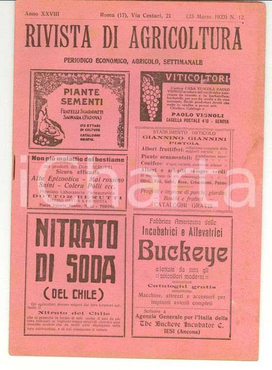 1923 ROMA Rivista di agricoltura - Anno XXVIII n° 12