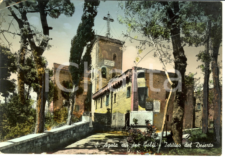 1955 S.AGATA SUI DUE GOLFI (NA) Istituto del Deserto *Cartolina postale FG VG