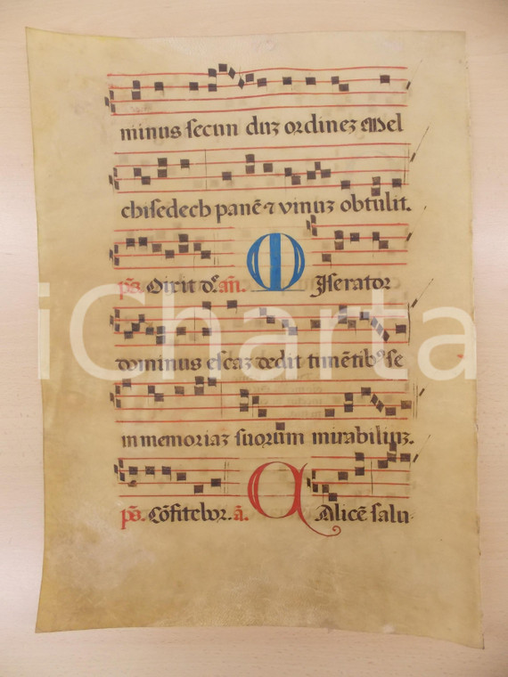 1600 ca ANTIFONARIO ROMANO Pergamena manoscritta rosso nero blu Salmo MISERATOR