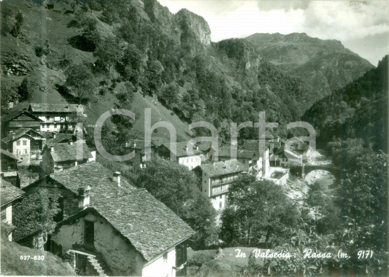 1960 ROSSA (VC) Panorama del paese in VALSESIA *Cartolina postale FG VG