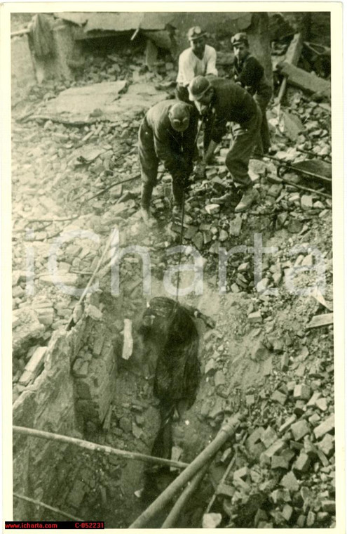 1945 WW2 DRESDA (DE) Estrazione cadaveri dalle macerie