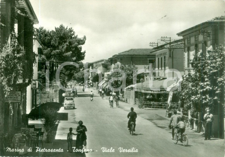 1956 MARINA DI PIETRASANTA (LU) Viale Versilia a TONFANO *Cartolina FG VG