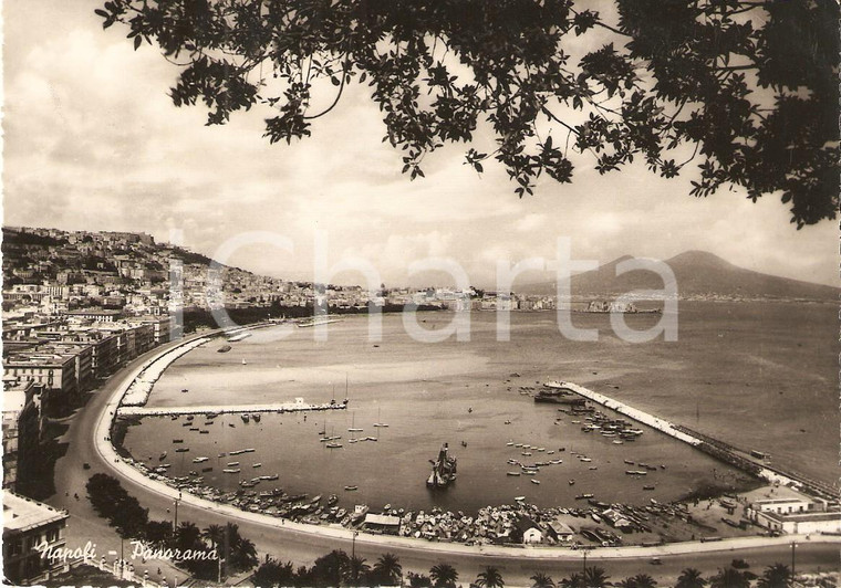 1952 NAPOLI Panorama del porto e VESUVIO *Cartolina FG VG