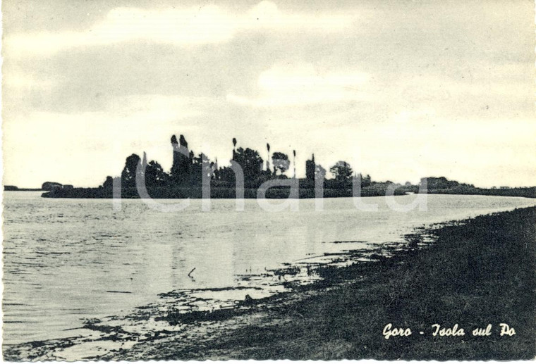1950 ca GORO (FE) Veduta isola alle foci del PO *Cartolina FG NV elio brillante