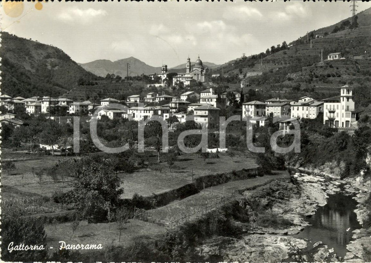 1960 MOCONESI (GE) Panorama della frazione GATTORNA *Cartolina postale FG VG
