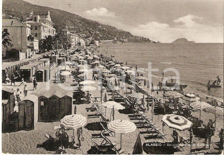 1955 ALASSIO (IM) Spiaggia e Isola GALLINARA *Cartolina FG VG