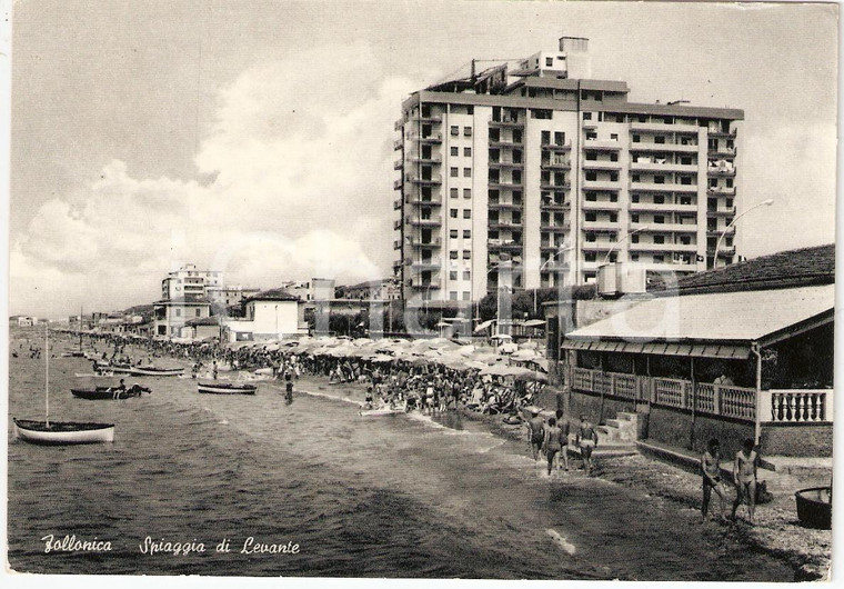 1965 FOLLONICA (GR) Veduta della spiaggia di LEVANTE *Cartolina FG VG