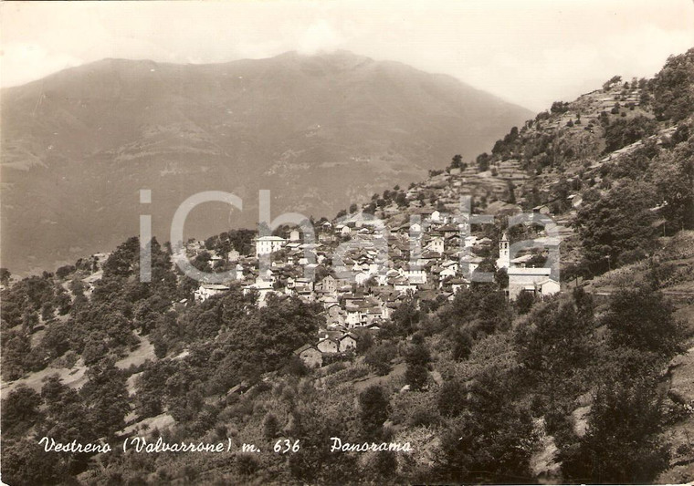 1957 VESTRENO (LC) Panorama del paese *Cartolina FG VG