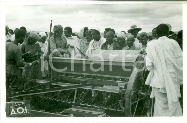 1938 FADIS HARAR (ETIOPIA) AOI Indigeni ammirano seminatrici meccaniche AURORA