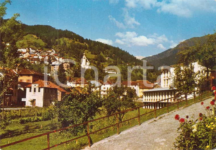 1972 RIGOLATO (UD) Panorama del paese e timbro Bar Gussetti *Cartolina FG VG