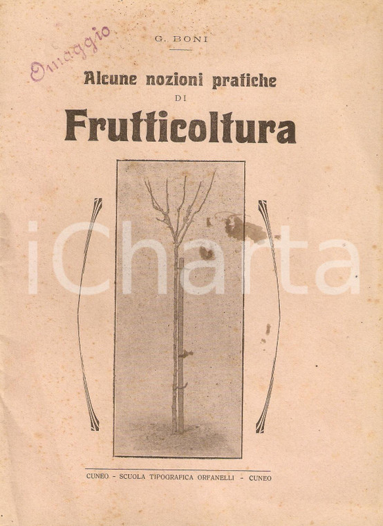 1918 Giglio BONI Alcune nozioni pratiche di frutticultura *Libretto illustrato