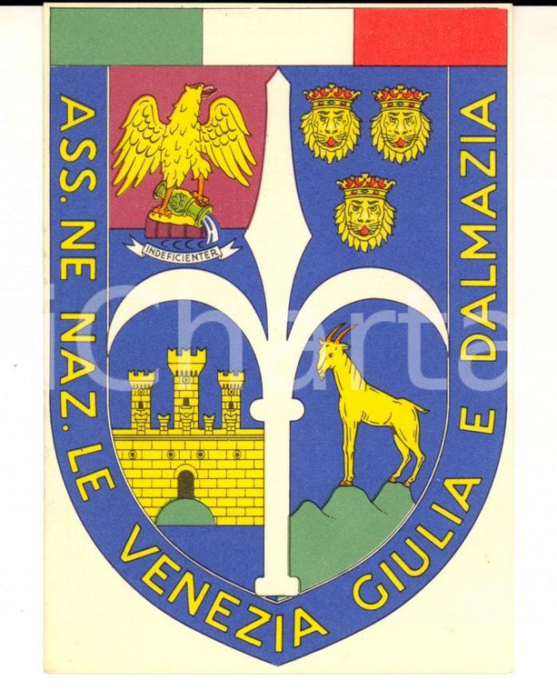 1965 Associazione Nazionale VENEZIA GIULIA E DALMAZIA *Tessera 8x11 cm