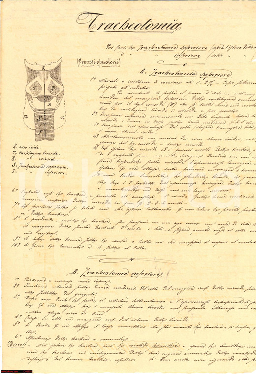 1900 TRACHEOTOMIA appunti manoscritti
